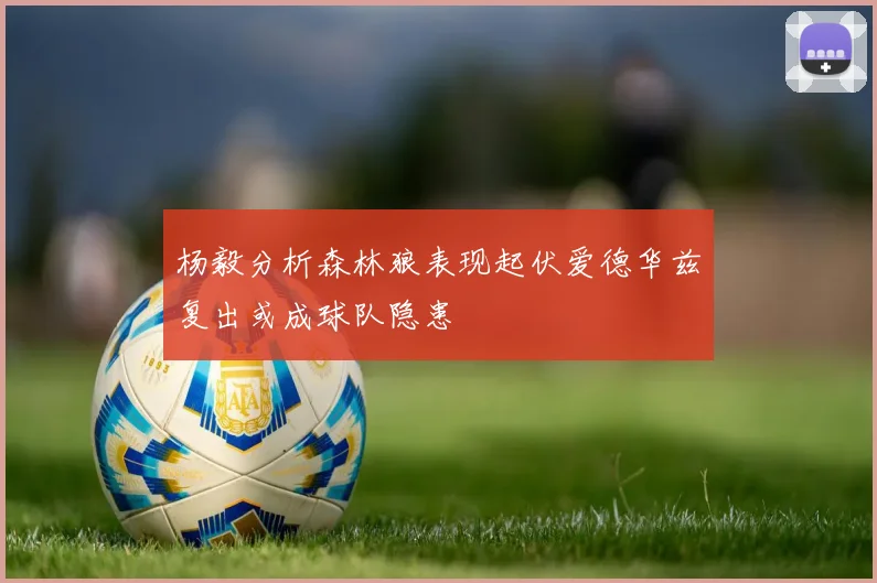 杨毅分析森林狼表现起伏爱德华兹复出或成球队隐患