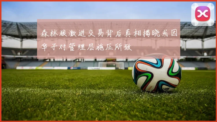 森林狼激进交易背后真相揭晓或因华子对管理层施压所致