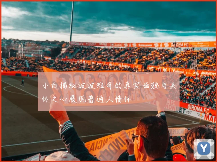 小白揭秘波波维奇的真实面貌与关怀之心展现普通人情怀
