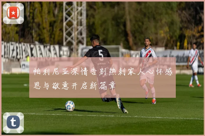 帕利尼亚深情告别热刺家人心怀感恩与敬意开启新篇章